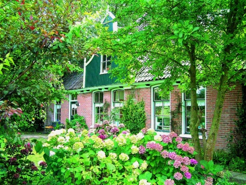 B&B Abbekerk image 18